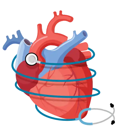 Salud cardiovascular