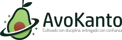 Avokanto Colombia
